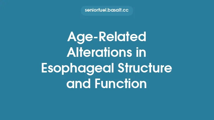 Age‑Related Alterations in Esophageal Structure and Function Thumbnail