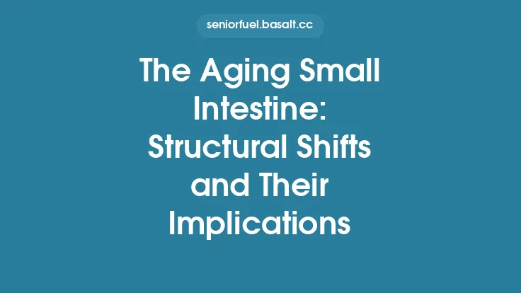 The Aging Small Intestine: Structural Shifts and Their Implications Thumbnail