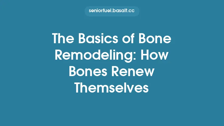 The Basics of Bone Remodeling: How Bones Renew Themselves Thumbnail