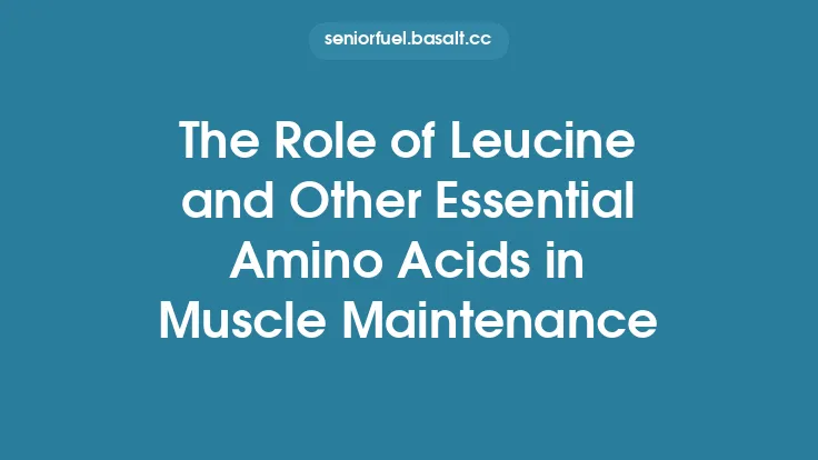 The Role of Leucine and Other Essential Amino Acids in Muscle Maintenance Thumbnail