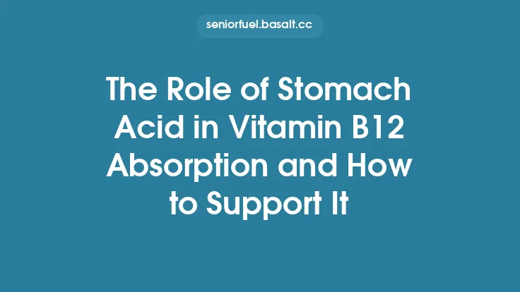 The Role of Stomach Acid in Vitamin B12 Absorption and How to Support It Thumbnail