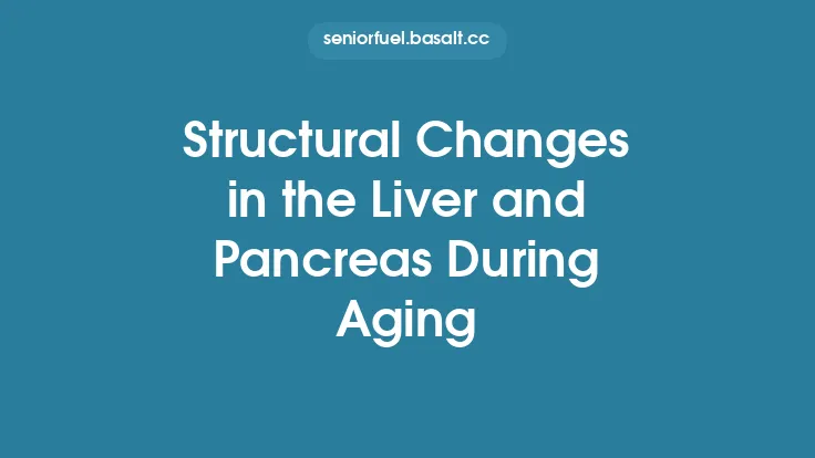 Structural Changes in the Liver and Pancreas During Aging Thumbnail